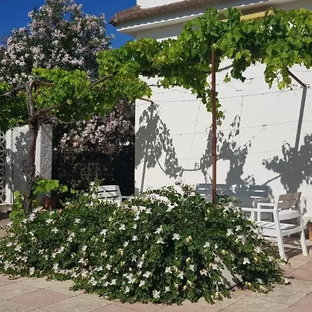 Villa Tra Gli Ulivi San Pietro in Bevagna Exterior foto
