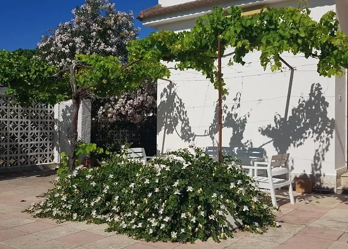 Villa Tra Gli Ulivi
