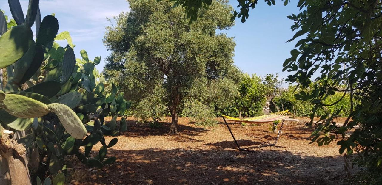 Tra Gli Ulivi San Pietro in Bevagna